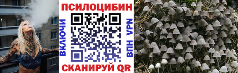 Галлюциногенные грибы Cubensis  Купить закладки  Краснокаменск 